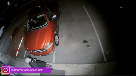 Security Camera Caught Robbery Los Angeles Ca In 2021 Security Camera Robbery Camera