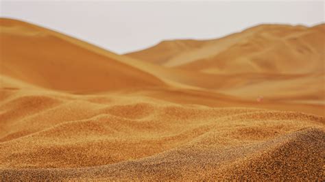 Download Wallpaper 2560x1440 Sand Desert Dunes Hilly Widescreen 169