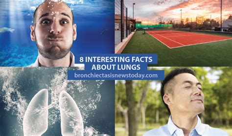 8 Interesting Facts About Lungs Bronchiectasis News Today