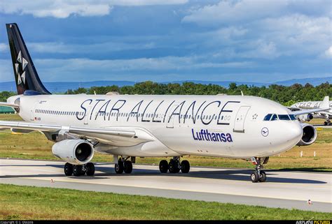 D Aign Lufthansa Airbus A340 300 At Frankfurt Photo Id 1062576
