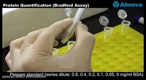 Protein Quantification Bradford Assay