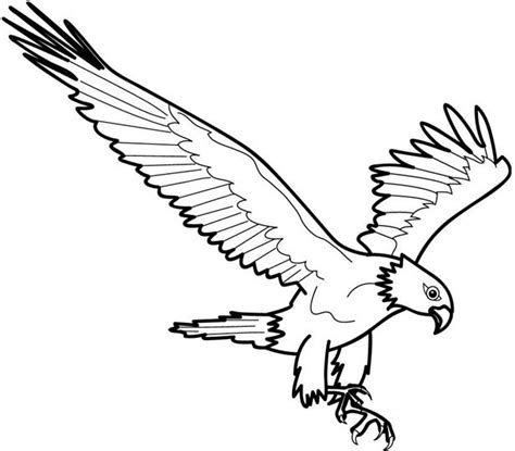 Kumpulan Contoh Gambar Sketsa Burung Garuda Informasi Masa Kini