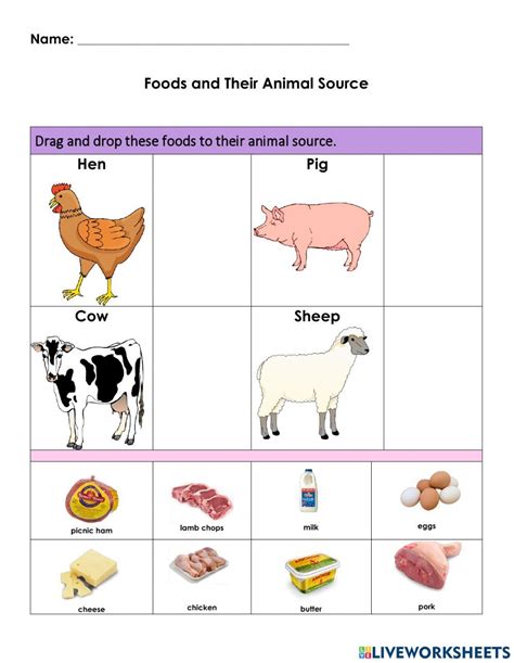 Foods From Farm Animals Worksheet School Worksheets Animal