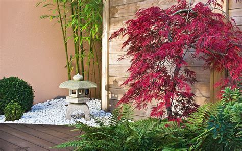 15 Best Trees For Small Gardens Beautiful Small Trees