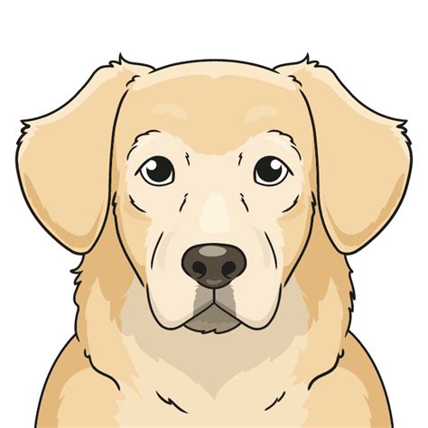 How To Draw A Golden Retriever Face Really Easy Drawing Tutorial