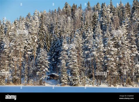 Small Wooden Sauna Cabin Made Of Logs In The Snowy Forest By A Frozen