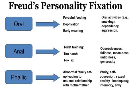freud s stages of human development 5 psychosexual st