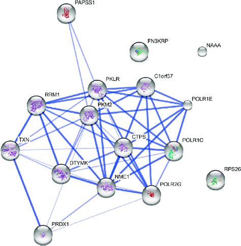 This concept is so fundamental it is called the central dogma of biology. STRING Analysis of Protein-Protein Interaction Network for Three... | Download Scientific Diagram