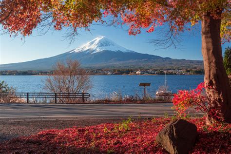 Mount Fuji, Lake Kawaguchi & Gotemba Premium Outlets Day Trip, Tokyo