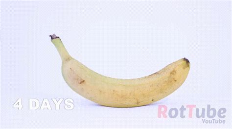 Banana  Find And Share On Giphy