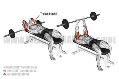 Lying Barbell Triceps Extension Exercise Instructions And Video