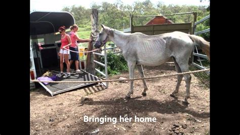 The staff here are nice and helpful with clear guidance and instruction. Amanda Vella's 'Save a Horse Australia' Sanctuary on the ...