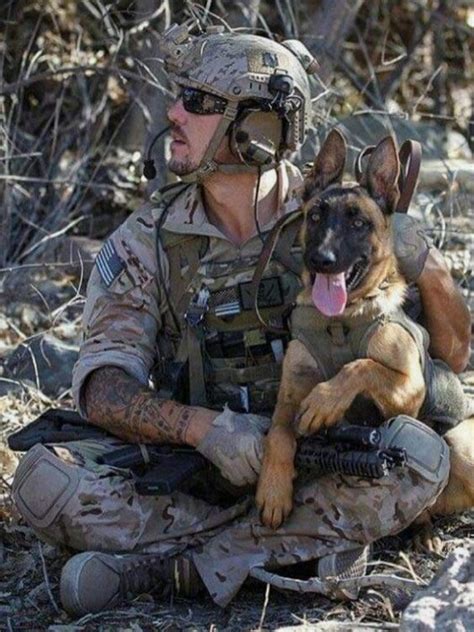 5 Military Dogs Who Deserve To Be Honored For K9 Veterans Day Dogtime