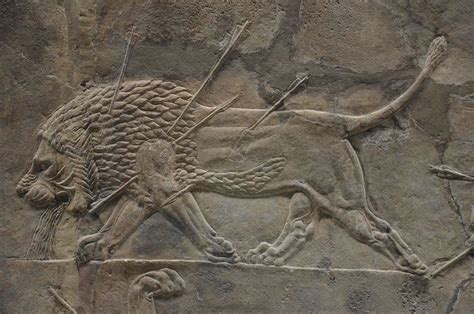 Sculpted Reliefs Depicting Ashurbanipal The Last Great Assyrian King