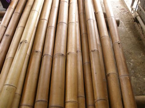 TIGES DE BAMBOU Brise Vue Bambou Bambou Cloture Bambou