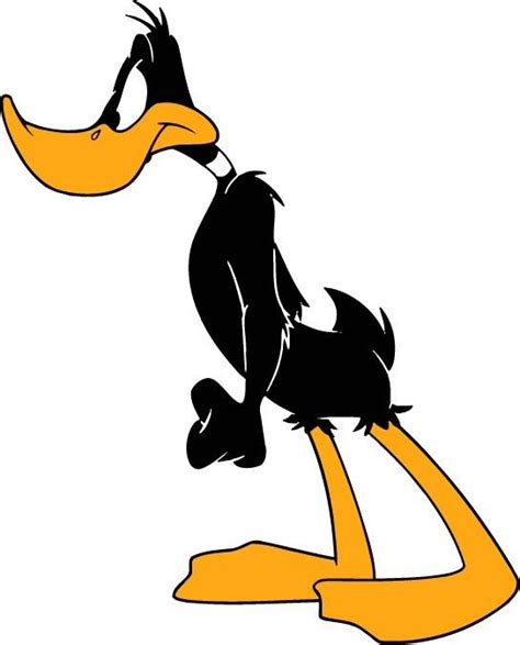 Daffy Duck Carton Daffy Duck Cartoons