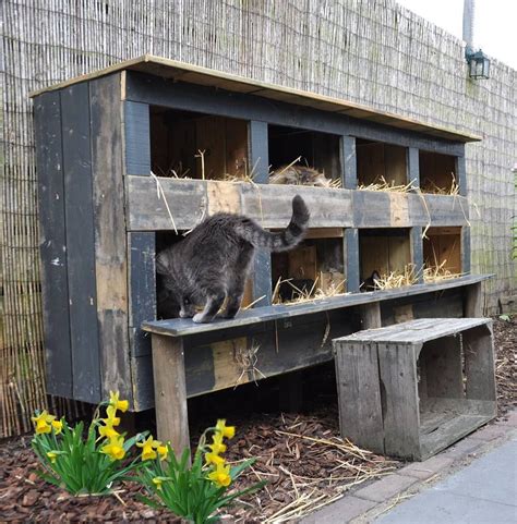Download building plans for these feral cat shelters: Cat House Plans | Feral cat house, Outdoor cat shelter ...