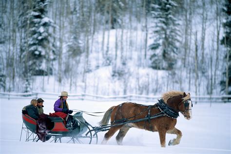 9 Amazing Day Trips From Salt Lake City One Horse Open Sleigh Sleigh