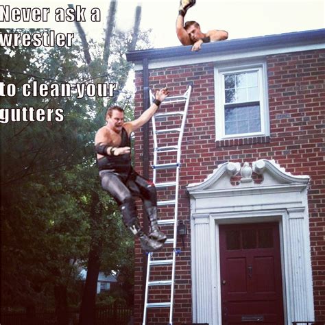 How often to clean gutters reddit. Never ask a wrestler to clean your gutters : funny