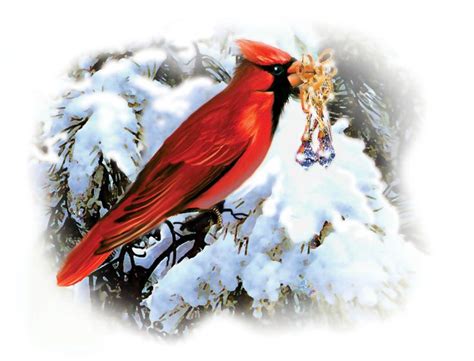 Free Cardinal Winter Cliparts Download Free Cardinal Winter Cliparts