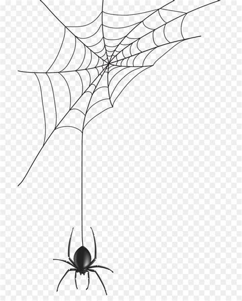 Black Widow Spider Web Clipart 10 Free Cliparts Download Images On