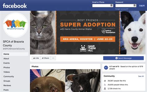 Any link to an external website is not intended as an endorsement of that external website, any product or service offered or referenced to or any views that might be expressed or referenced therein. Adoption | SPCA of Brazoria County