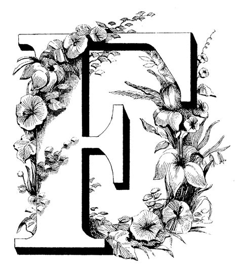 Browse letter f images and find your perfect picture. Images For > The Letter F Fancy | Fancy letters, Lettering ...