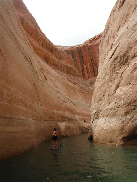 Trudie Exploring A Arm Off Navajo Canyon At Lake Powell Last Week On