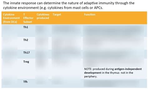 Cytokines Produced From T Cells Diagram Quizlet