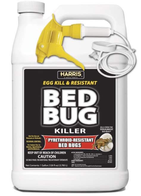 Best Bed Bug Sprays 2023 Review