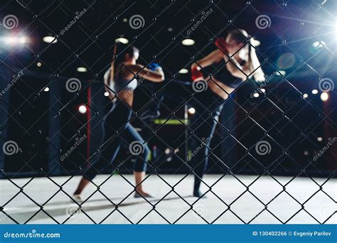 Mma Fight Boxing Women Stock Photo Image Of Body Martial 130402266