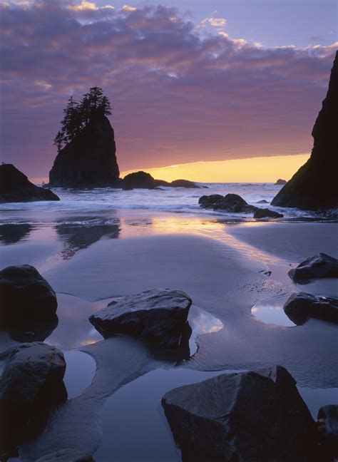 Best Beach Hotels Washington State Find The Perfect Hotel For You