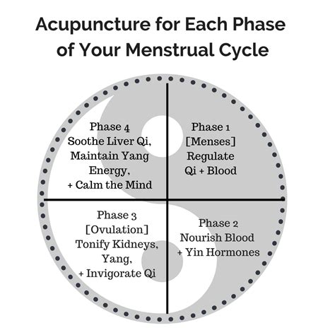 Acupuncture For Each Phase Of Your Menstrual Cycle Acupuncture
