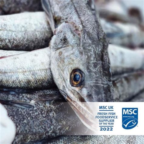 Direct Seafoods Retains Coveted Msc Uk Fresh Fish Foodservice Supplier