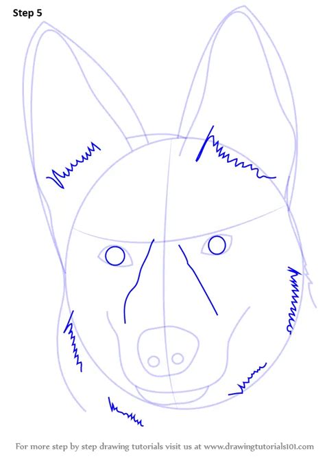 Learn How To Draw German Shepherd Dog Face Farm Animals Step By Step