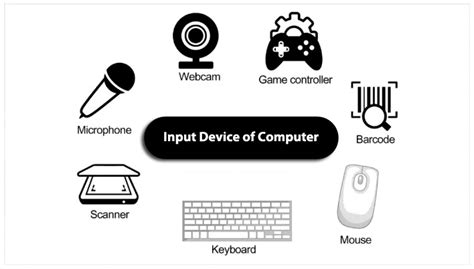 Input Device Of Computer Overview Goglobalways