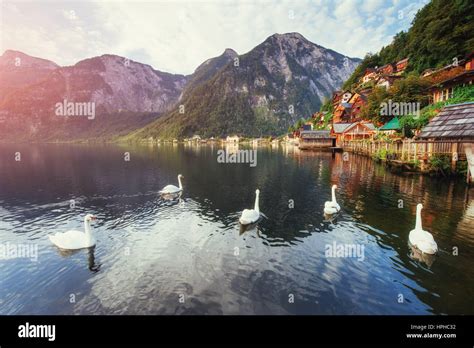 Scenic Panoramic View Of The Famous Mountain Village In The Austrian