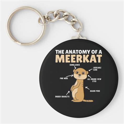 Funny Explanation Of A Meerkats Anatomy Keychain Zazzle