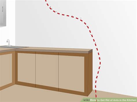 We did not find results for: How to Get Rid of Ants in the Kitchen (with Pictures ...