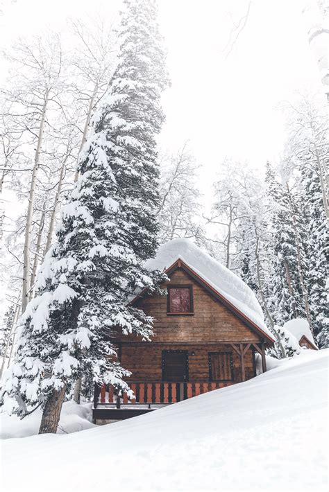Log Cabin Snow