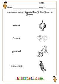 This is the grade 1 tamil paper for srilankan students. Matching_vegetables_t2_1.jpg (199×283) | Phonics ...