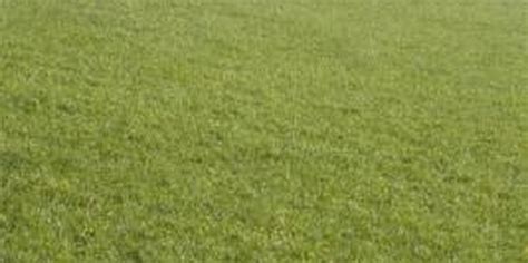 Let's face it, upcycling is popular for use in the garden. Lawn Edging for Slopes