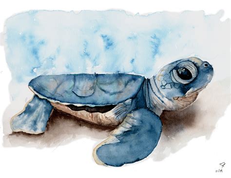 Baby Sea Turtle Oil Painting Painting Art And Collectibles Jan