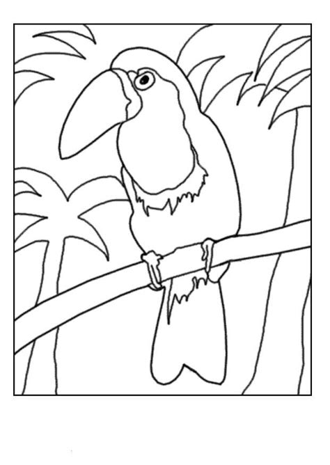 Kidsnfun Kleurplaat Vogels Toekan