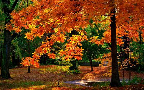 Sunny Autumn Day Wallpapers Wallpaper Cave