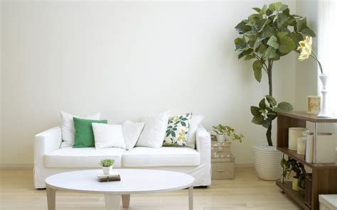 To convey the message of absolute comfort, set your zoom background to the image of a comfortable living space. 50+ 3D Room Wallpaper on WallpaperSafari