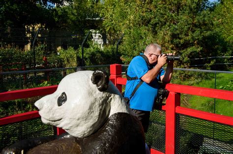 Nicht Wie Im Gefängnis Wie Sieht Der Zoo Der Zukunft Aus N Tvde