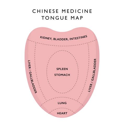 Diagnosis In Chinese Medicine Acumedic Clinic