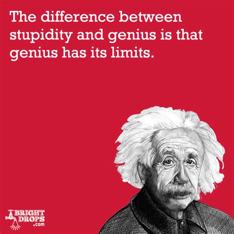 His work is also known for its influence on the philosophy of science. Albert Einstein Quotes Stupidity. QuotesGram