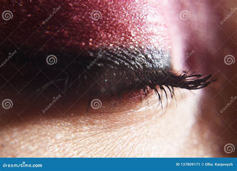 Natural Eyelashes Real Eyelashes Long Close Up View Of Beautiful Female Eye With Eyelashes
